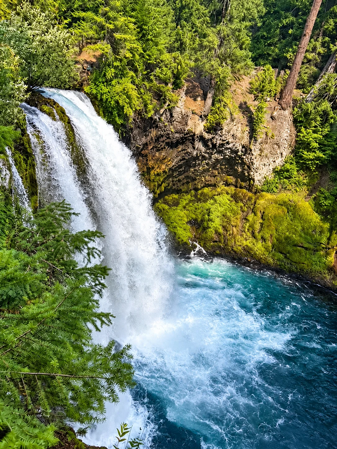 Waterfall pouring into a turquoise pool in an evergreen forest